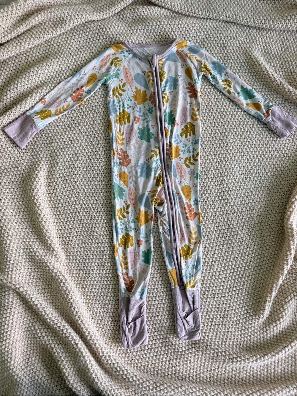 🍂 Little Sleepies Autumn Leaves Zippy — 6–12M
